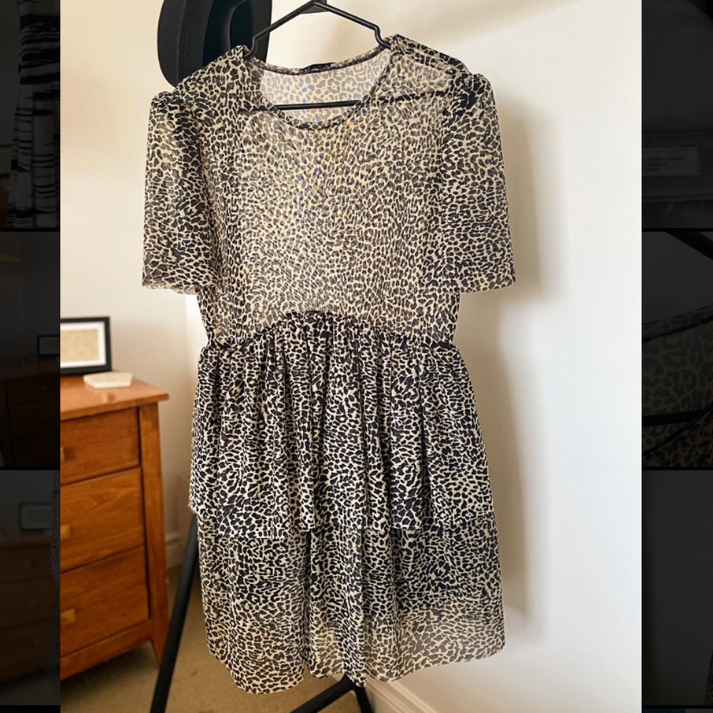 Zara Leopard Print Dress
